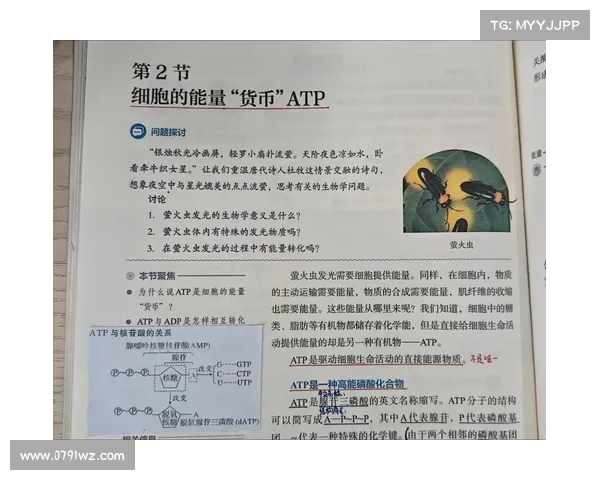 atp2017赛事安排—atp2019